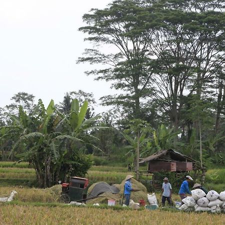 Pondok Gepokan Homestay Ubud Esterno foto