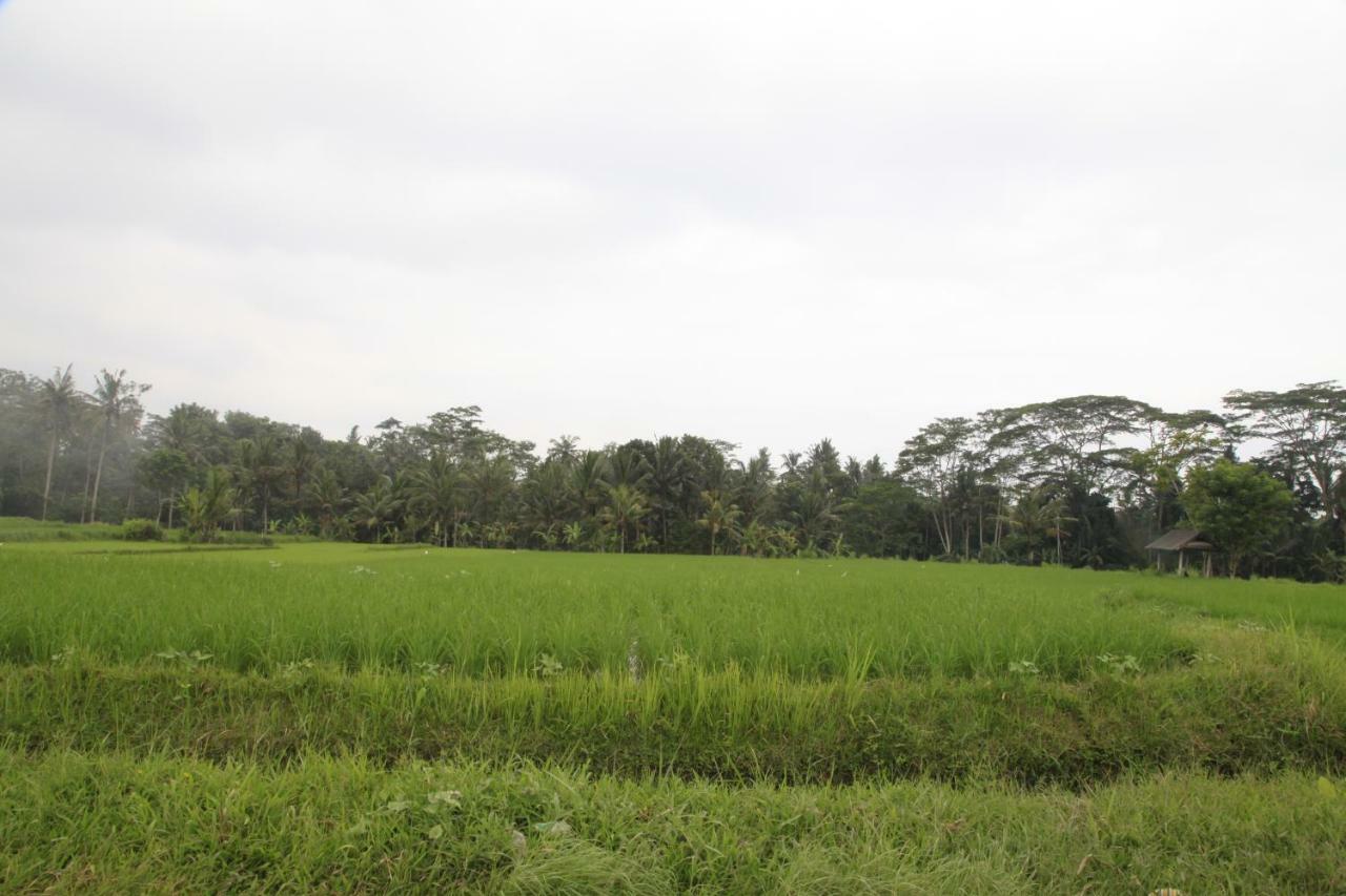 Pondok Gepokan Homestay Ubud Esterno foto