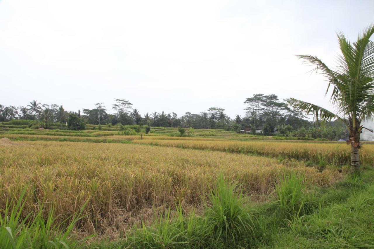 Pondok Gepokan Homestay Ubud Esterno foto