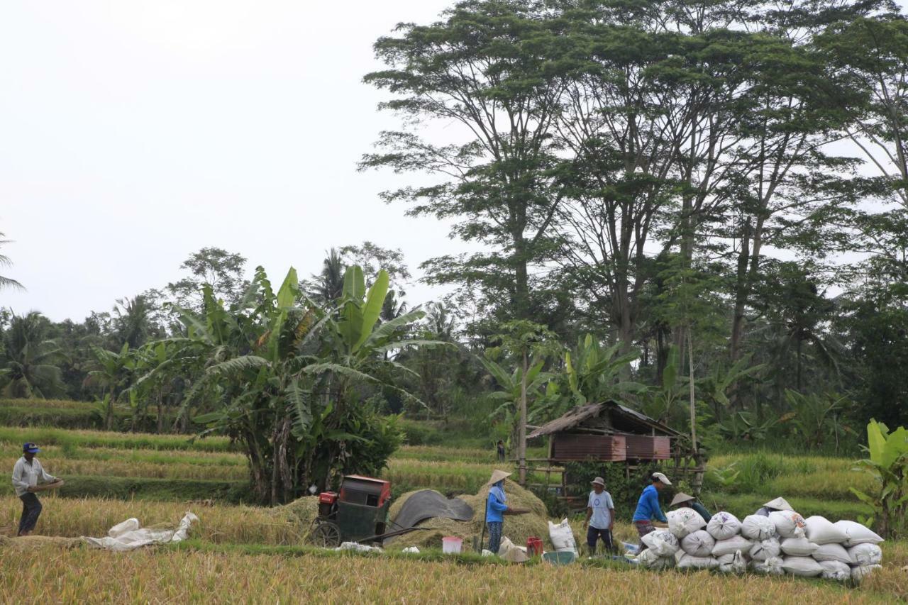 Pondok Gepokan Homestay Ubud Esterno foto