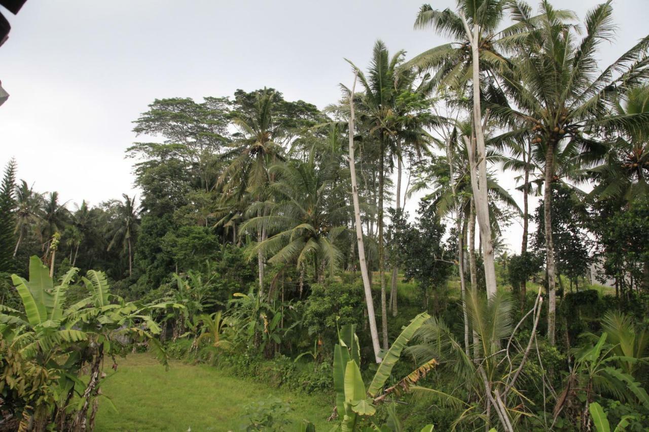 Pondok Gepokan Homestay Ubud Esterno foto