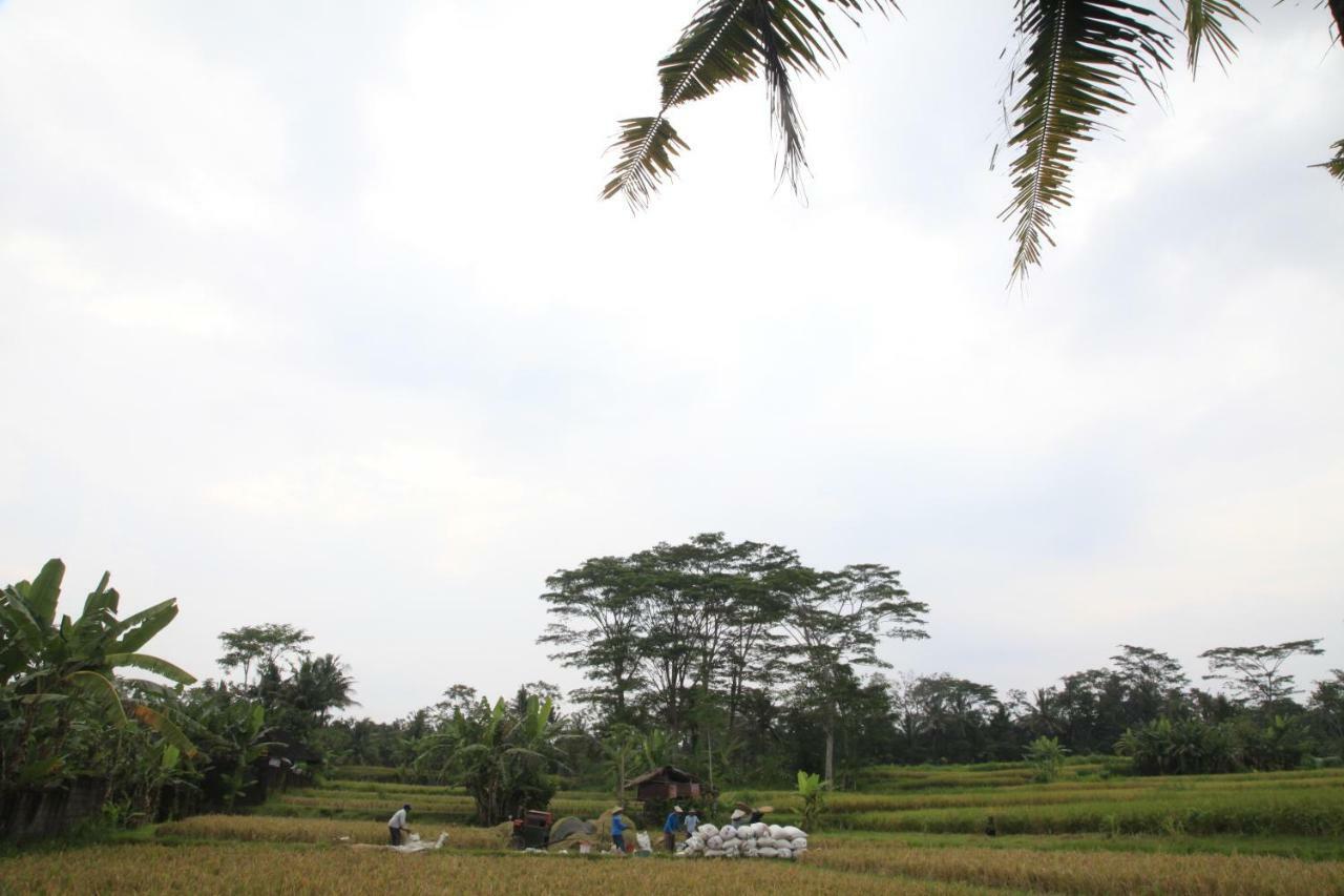 Pondok Gepokan Homestay Ubud Esterno foto