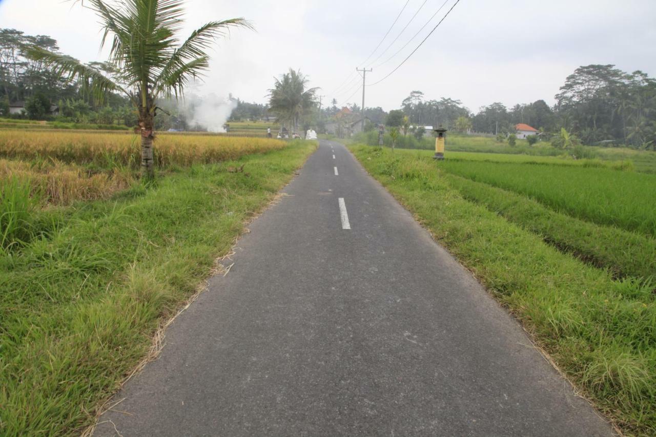 Pondok Gepokan Homestay Ubud Esterno foto
